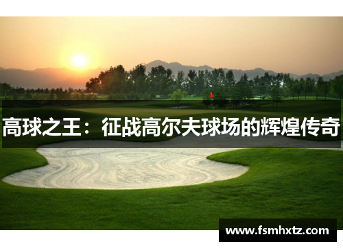 高球之王：征战高尔夫球场的辉煌传奇